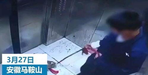 对镜爆料小男孩视频大全,揭秘小男孩视频大全的欢乐瞬间  第2张