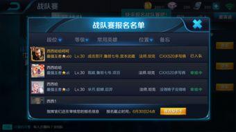 王者爆料清单最新版,揭秘新英雄、新皮肤及游戏更新亮点