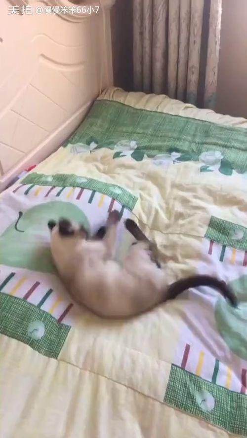 床小视频在线观看,私密空间里的情感共鸣  第3张